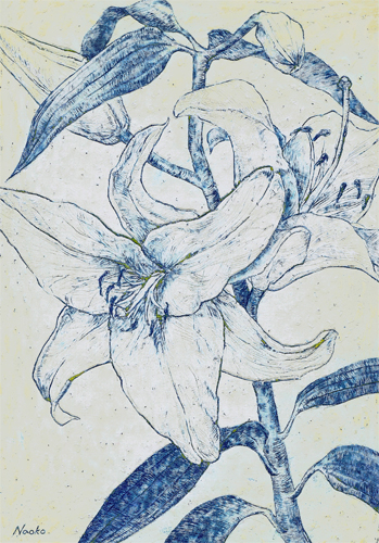 Lilies